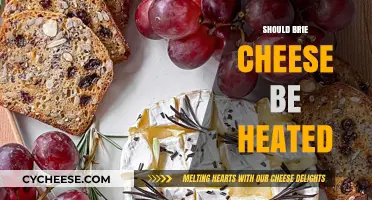 Should You Heat Brie Cheese? Tips for Perfect Melting and Serving
