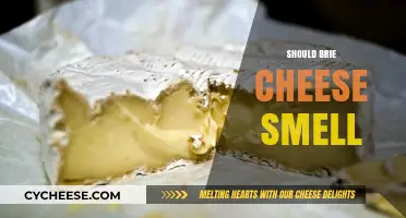 Does Brie Cheese Smell? Understanding Its Aroma and Freshness