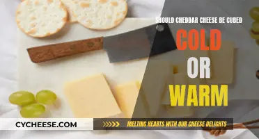 Cheddar Conundrum: Cold Cubes or Warm Bliss?