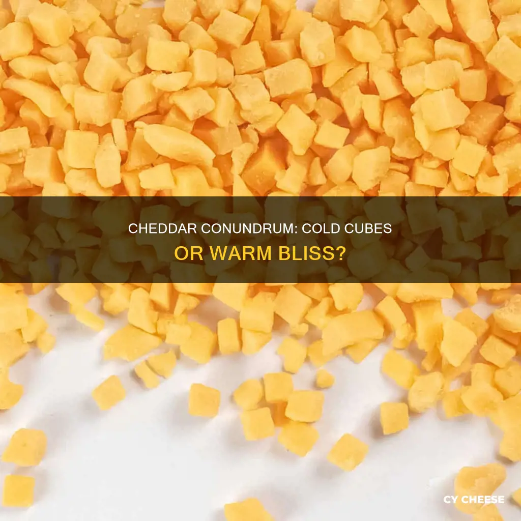 should cheddar cheese be cubed cold or warm