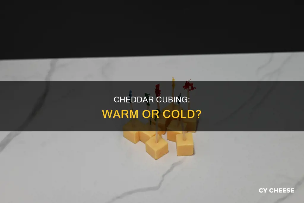 should cheddar cheese be cubed cold or warm