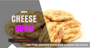 Should Cheese Burn? Exploring the Perfect Melt and Crisp Balance