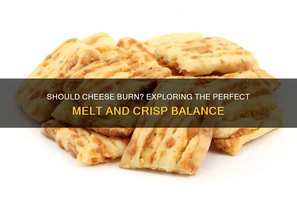 should cheese burn