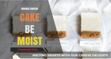 Is Moist Cheesecake Ideal? Debunking the Perfect Texture Myth
