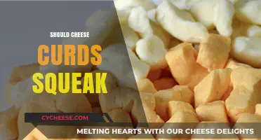 Do Cheese Curds Need to Squeak? Exploring the Crunchy Debate