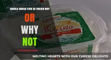Should Cheese Be Frozen? Pros, Cons, and Best Practices Explained