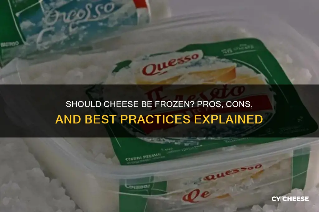 should cheese ever be frozen why or why not