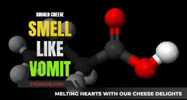 The Science Behind Cheese's Pungent Aroma: Why the Vomit-like Smell?