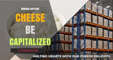 Should Cottage Cheese Be Capitalized? Grammar Rules Explained