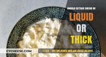 Cottage Cheese Consistency: Should It Be Liquid or Thick?