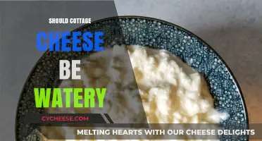 Is Watery Cottage Cheese Normal? Understanding Texture and Freshness