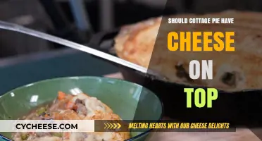 Cottage Pie with Cheese: Culinary Tradition or Tasty Twist?