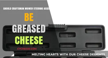 Should You Grease Craftsman Mower Steering Assembly with Cheese?