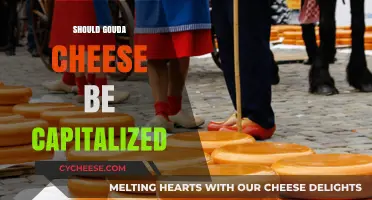 Should Gouda Cheese Be Capitalized? A Grammar and Food Lover's Dilemma