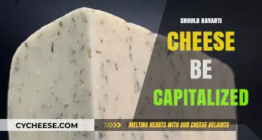 Should Havarti Cheese Be Capitalized? Grammar Rules for Food Names