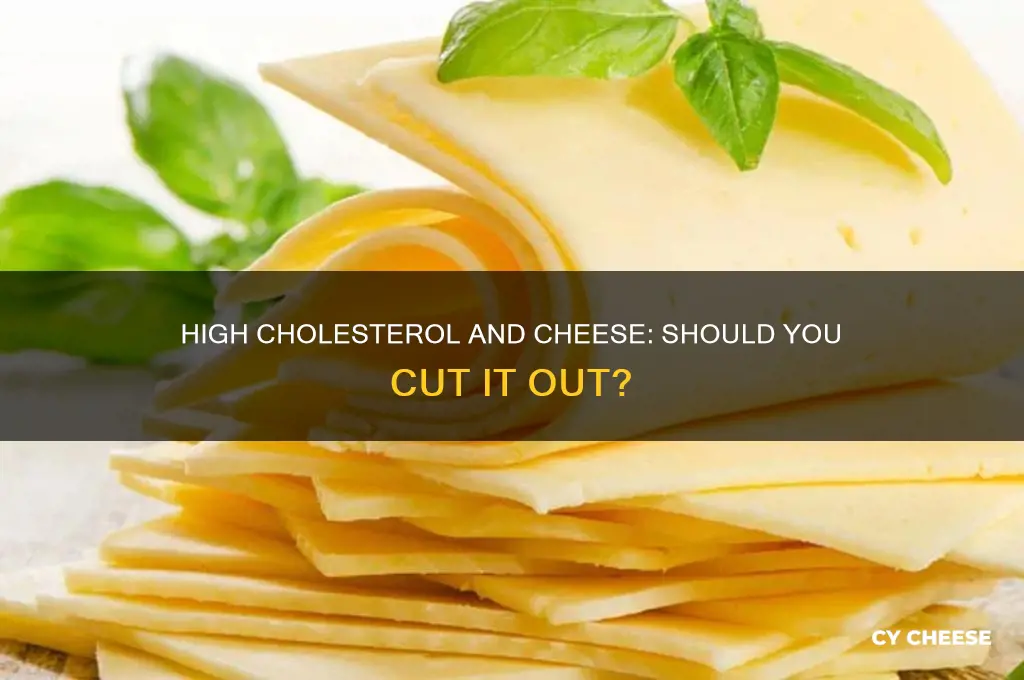should i avoid cheese if my cholesterol is high
