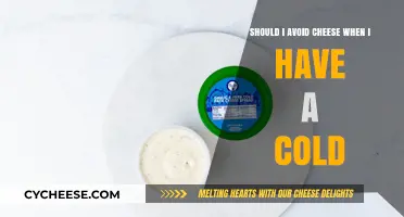 Should You Avoid Cheese When You Have a Cold? Facts Revealed