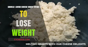 Cheese and Weight Loss: Should You Avoid It to Shed Pounds?