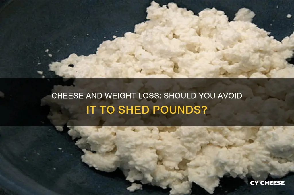 should i avoid cheese when trying to lose weight