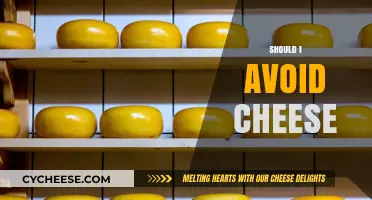 Should You Avoid Cheese? Health Benefits, Risks, and Alternatives Explained