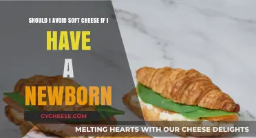Soft Cheese and Newborns: What Parents Need to Know