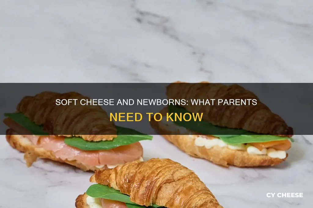 should i avoid soft cheese if i have a newborn
