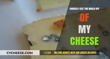 Should You Cut Mold Off Cheese? Safety Tips and Advice