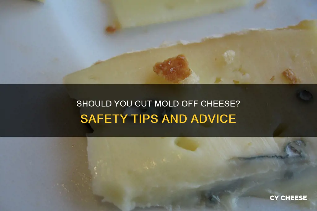 should i cut the mold off of my cheese