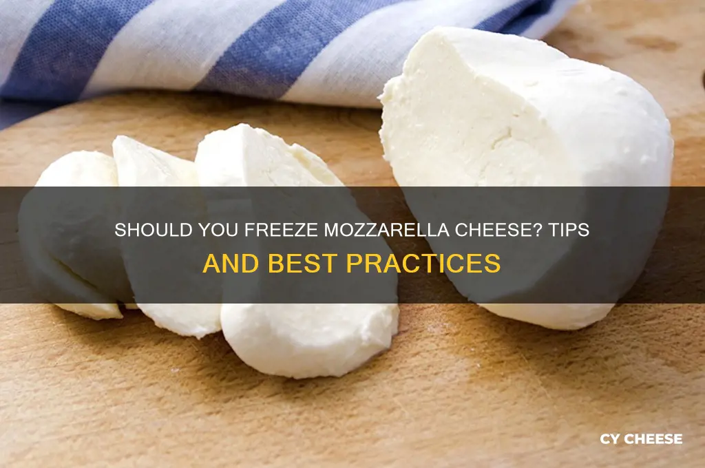 should i freeze mozarella cheese