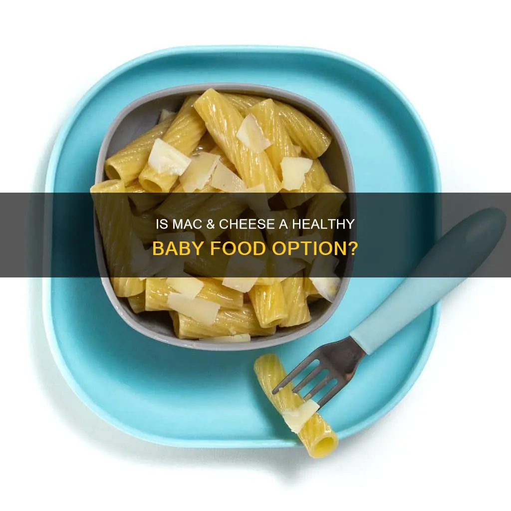 should i give my baby macaroni and cheese