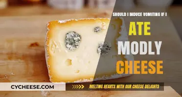 Moldy Cheese Mishap: Should You Induce Vomiting? Expert Advice