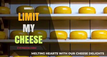 Should You Limit Cheese Intake? Health Benefits vs. Risks Explained
