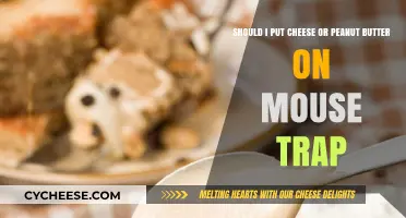 Cheese or Peanut Butter: Which Catches the Mouse?