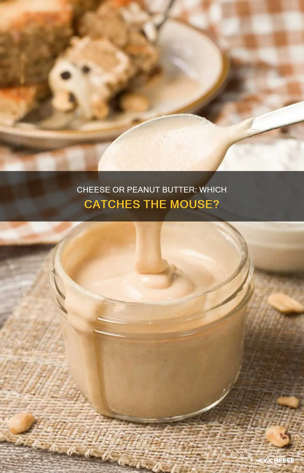 should i put cheese or peanut butter on mouse trap