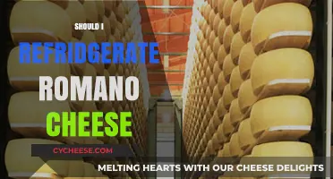 Should You Refrigerate Romano Cheese? Storage Tips for Freshness