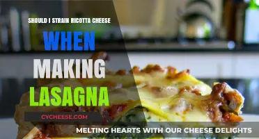 To Strain or Not: Ricotta Cheese in Lasagna – A Guide