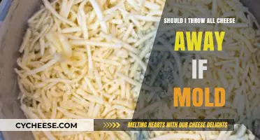 Moldy Cheese Dilemma: Should You Toss It All or Save Some?