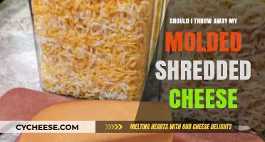 Moldy Shredded Cheese: Toss It or Risk It?