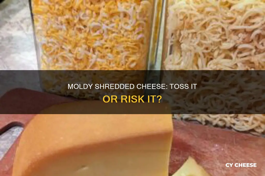 should i throw away my molded shredded cheese
