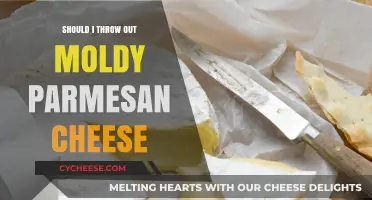 Moldy Parmesan: Toss or Keep?