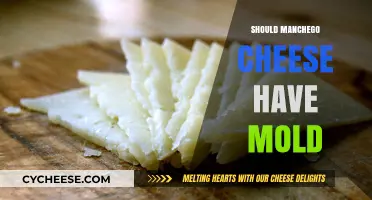 Is Mold on Manchego Cheese Normal or a Cause for Concern?
