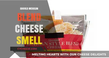 Does Mexican Blend Cheese Smell? Understanding Its Aroma and Freshness
