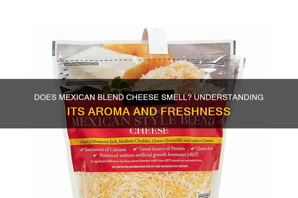 should mexican blend cheese smell