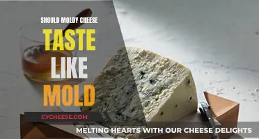 Moldy Cheese: Does It Taste Like Mold?