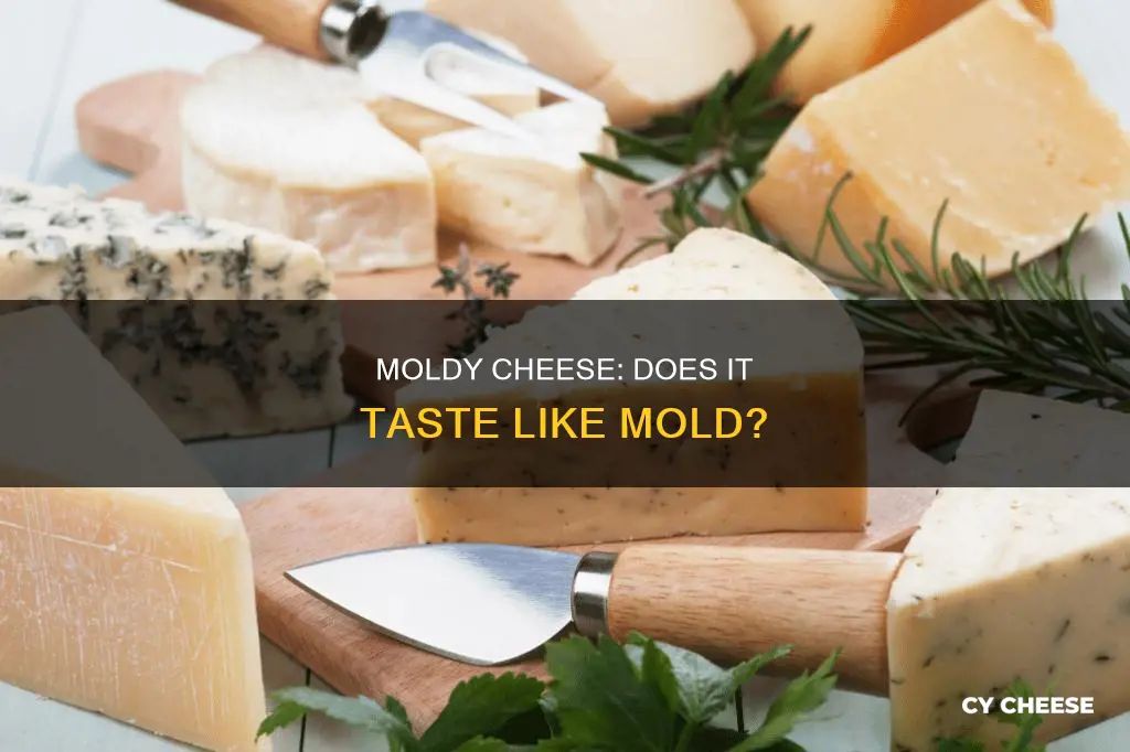 should moldy cheese taste like mold