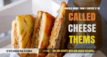 Cheese It or Cheese Thems: Pluralizing Snack Names for Fun