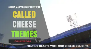 Cheez-It Plurality: Are Multiple Crackers Cheese Themes or Just Cheez-Its?