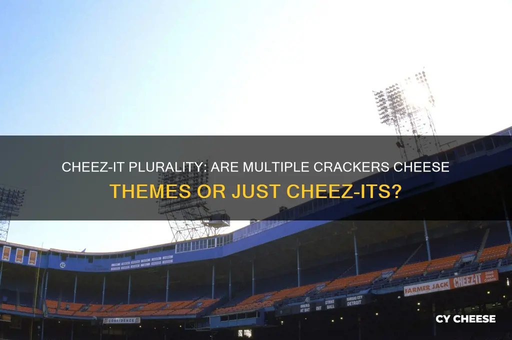 should more than one cheez it be called cheese themes