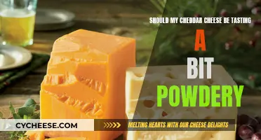 Cheese Texture: Why Your Cheddar Might Feel Powdery