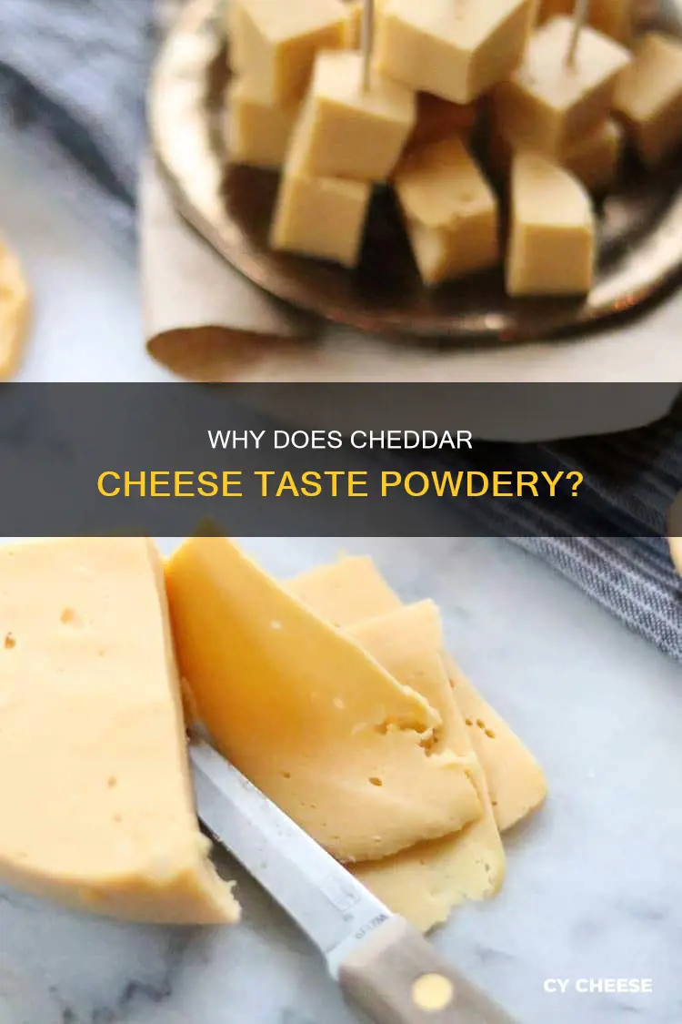 should my cheddar cheese be tasting a bit powdery